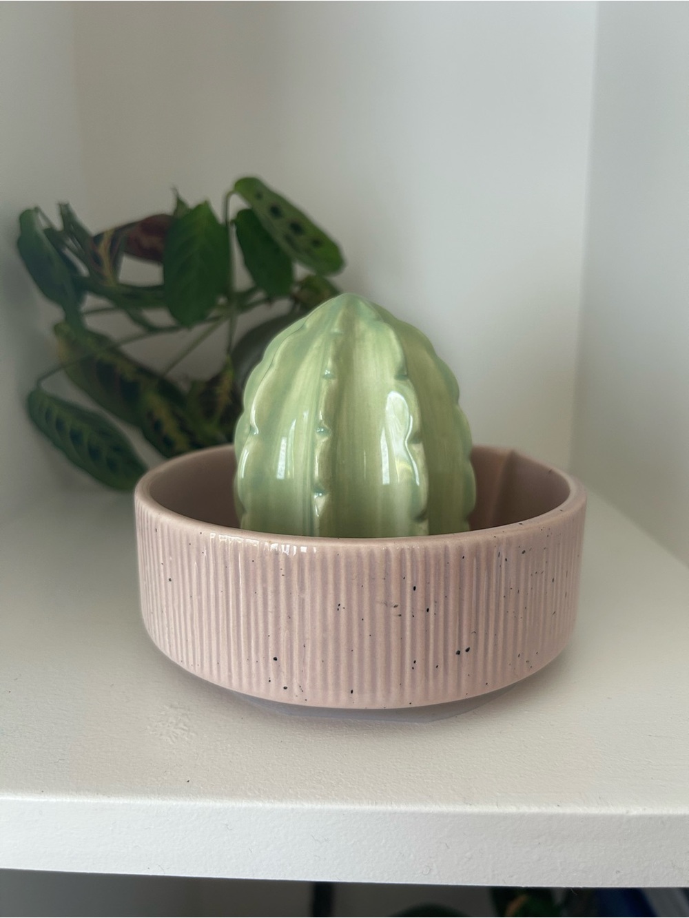 DOIY Design Sonora Citrus Juicer